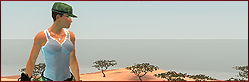 Wournos Arkadia banner - desert